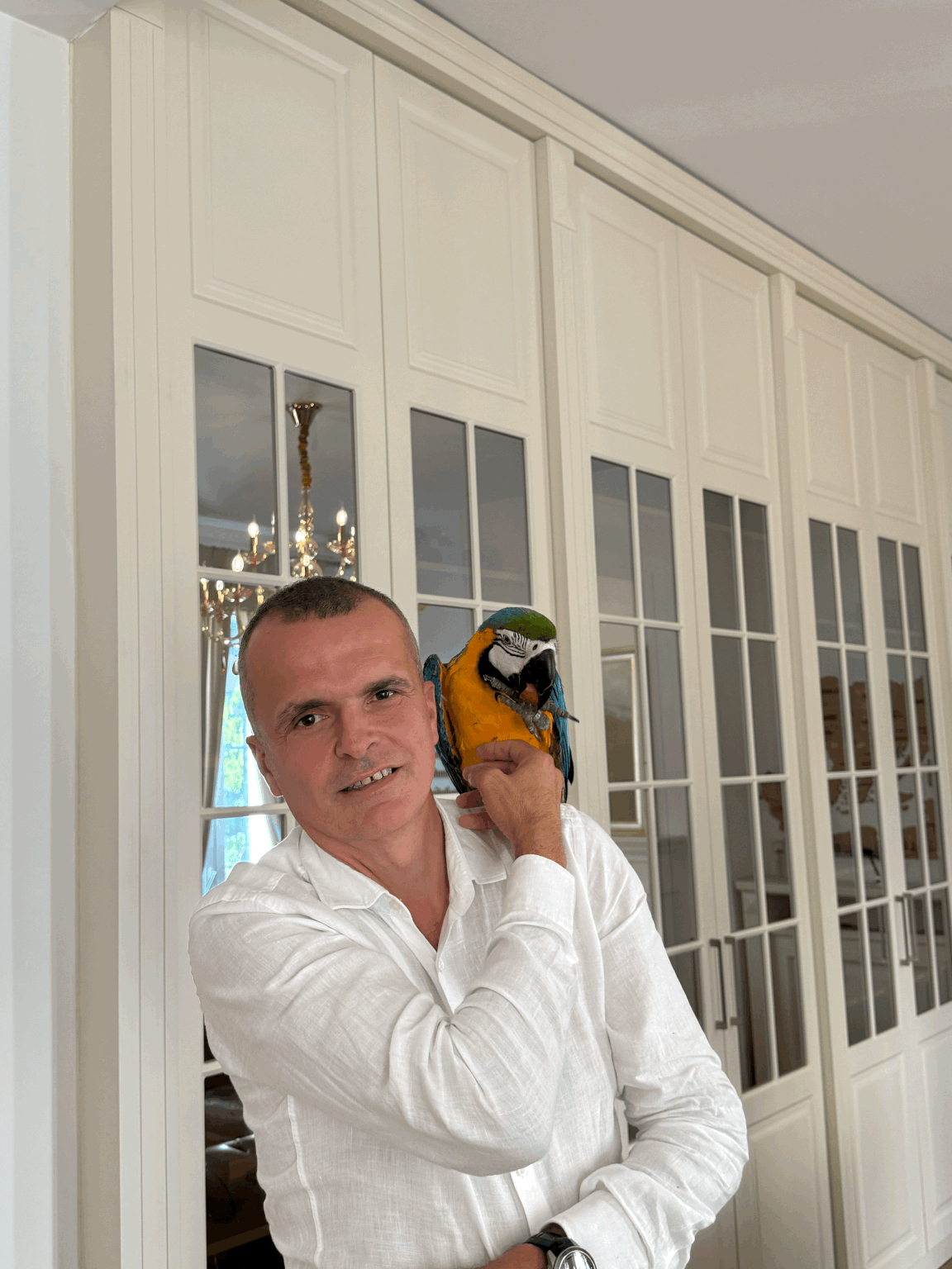 Ermal Beqiri Soft & Solution Group